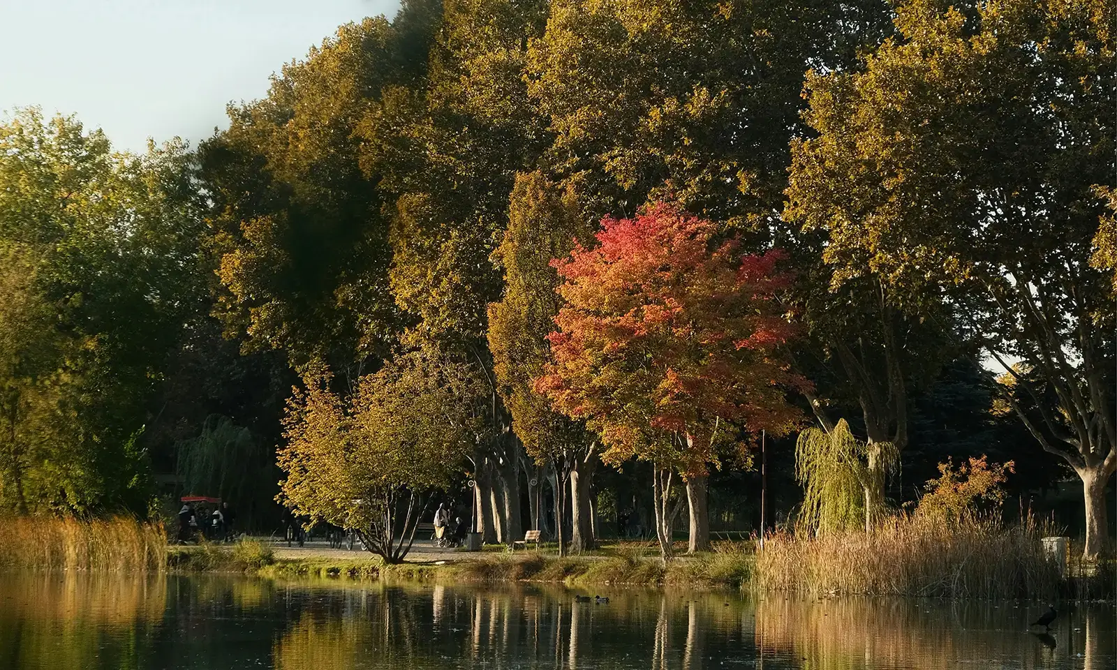 Taywood Estates in Burlington